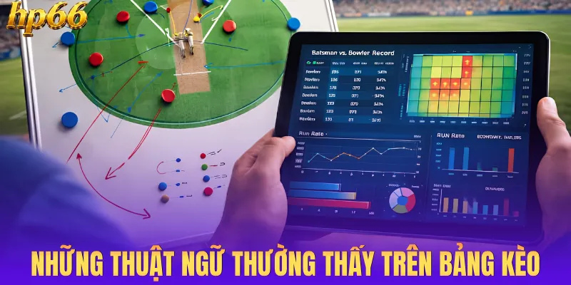 Những thuật ngữ thường thấy trên bảng kèo